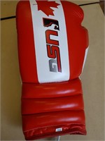 boxing gloves assorted sizes