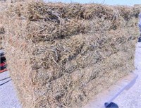 126 small sq bales of alfalfa/grass mix hay