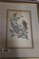 Pair Of Audubon Prints