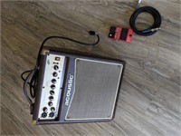 Accoustic Amp & Foot pedal