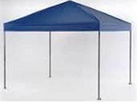 10 FT. X 10 FT. CANOPY TENT