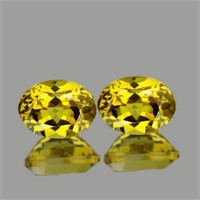 Natural Golden Yellow Beryl Heliodoor Pair 9x7 MM