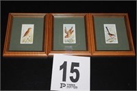 (3) Framed Bird Prints (6x5")
