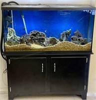60gallon Fish Tank, Black Laminated Stand/ Storage