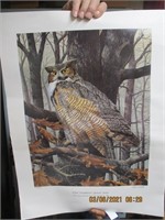 Signed Harold Roe Ward Fondation Horned Owl