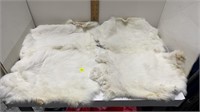 4PC 17IN WHITE RABBIT PELTS