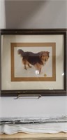 19x17 pic of a dog
