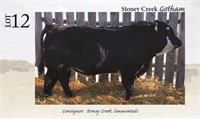 New Date *ONLINE ONLY Candiac Choice Bull Sale - April 5/20