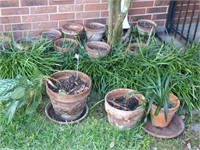 Lot of Clay Pots & 3 Small Potted PLants
