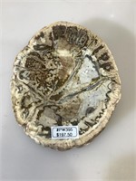 Petrified wood ashtray, approx 6x5 inches