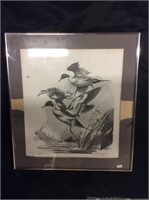 Signed & Numbered Duck Print, By Wm. J. Koelpin