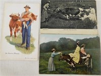 Three postcards with cows.