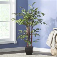 Bamboo Tree In Planter