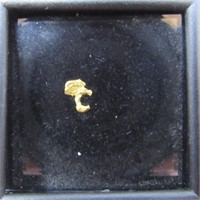 Small Gold Nugget From Austrialia-