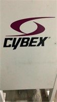 Cybex Row/Rear Delt  Exercise Machine-