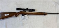 Ruger 10/22 with scope