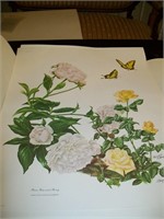 Maryrose Wampler Prints