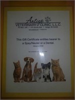 I Love My Pet, Spay / Neuter certificate