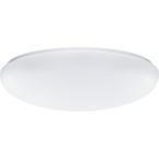 Lithonia Lighting 2-Light White Low-Profile Light