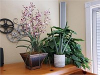 3 Silk Plants/Planters