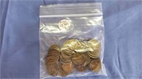 Bag of 45 Pre 1900 Indian Head Cents