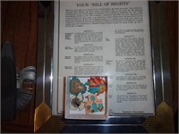 Framed Copy of Bill of Rights, Decorative Buttons