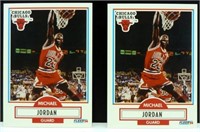 Two 1990-91 Fleer Michael Jordan Cards - Perfect