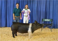 2020 Solano County Fair Jr Livestock Auction