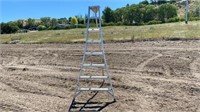 8' Tallman Orchard Ladder