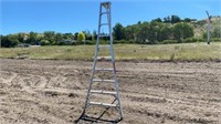 10' Tallman Orchard Ladder