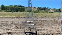 10' Tallman Orchard Ladder
