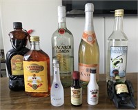 808 - LOT OF COLLECTABLE BOTTLES