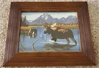 framed art of Moose
