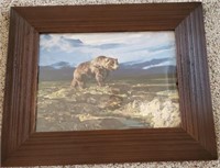Grizzly Framed Art
