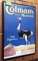 Ostrich Advertisement