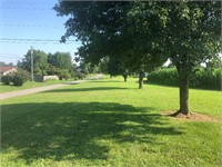 Tract #3- 0.75 Acre Lot (119ft x 273ft)