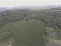 Tract #6- 24.23 Acres- Cropland, Woods, Creek
