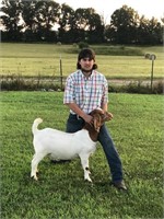 Kelby Moore - Market Goat