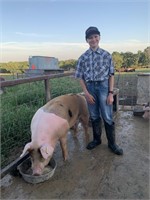 Noah Wolters - Market Hog