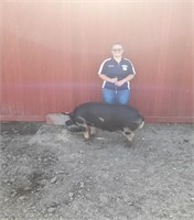 Kaitlyn Poage - Market Hog