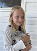 Milly Shaw - Market Rabbit