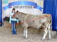 Coos County Youth Livestock Auction