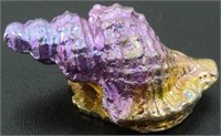 Bismuth Shell