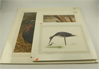 (1)  matted print Massachusetts Duck stamp