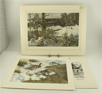 (13) prints of Mallards by William Hollywood,