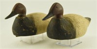 (2) Animal Trap Factory Canvasback drake decoys