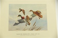 (9) 1979-1980 Tennessee Waterfowl Stamp prints
