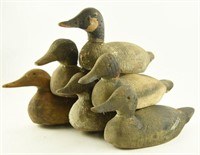 (6) Factory Decoys in various paints with