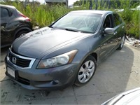 2009 Gry Honda Accord