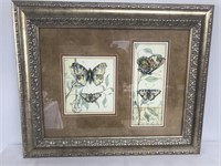 Tandem Butterfly Matted Artwork